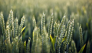 平台在线ddos压力测试